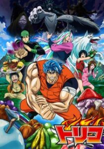 Play Toriko
