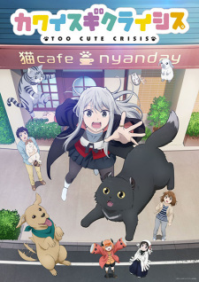 Play Too Cute Crisis