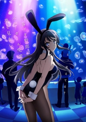 Play Rascal Does Not Dream of Bunny Girl Senpai