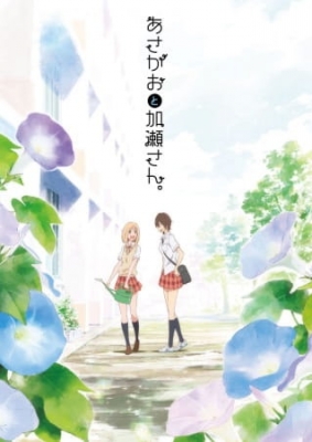 Play Your Light: Kase-san and Morning Glories