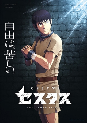 Play Cestvs: The Roman Fighter