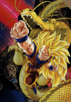 Play Dragon Ball Z: Wrath of the Dragon
